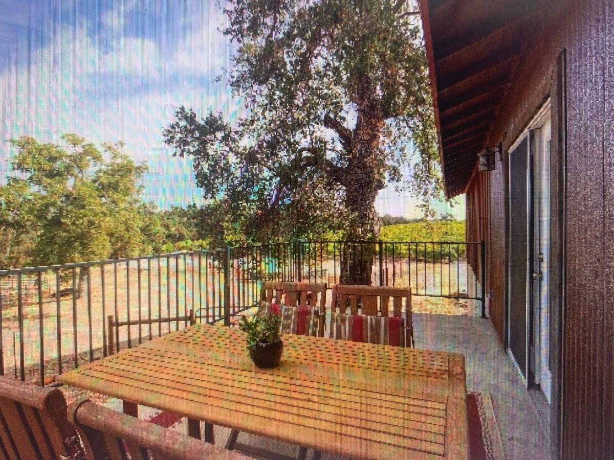 Vila Z Ranch Templeton Exteriér fotografie